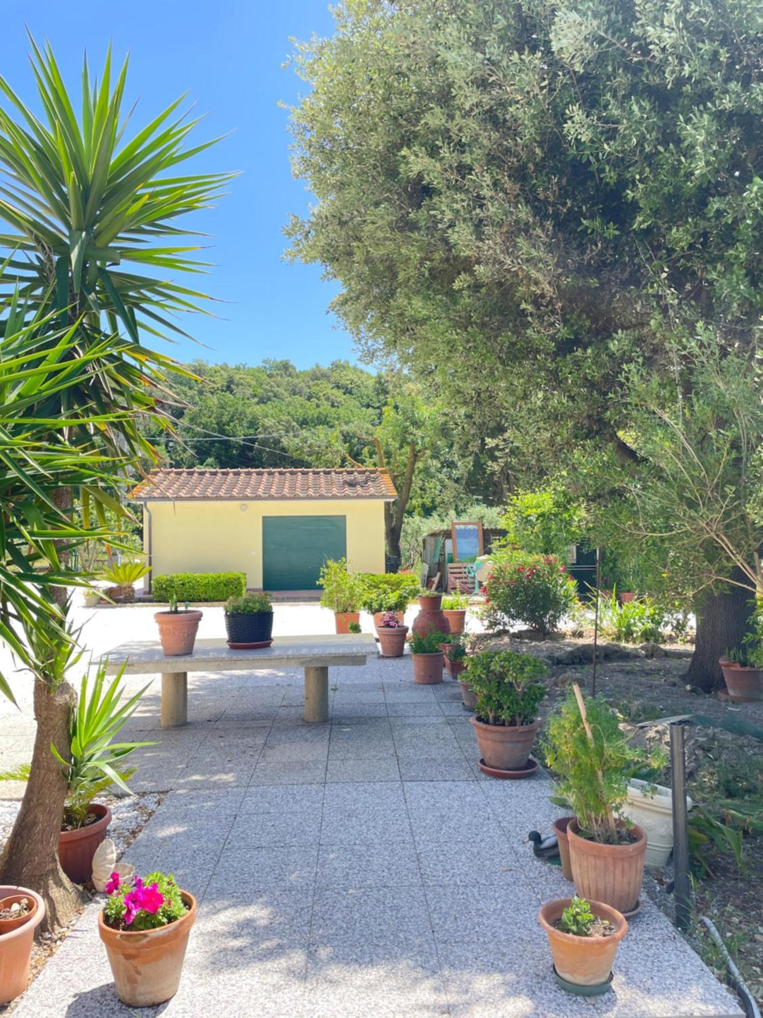 Il Leccio Agriturismo Fiorino 外观 照片