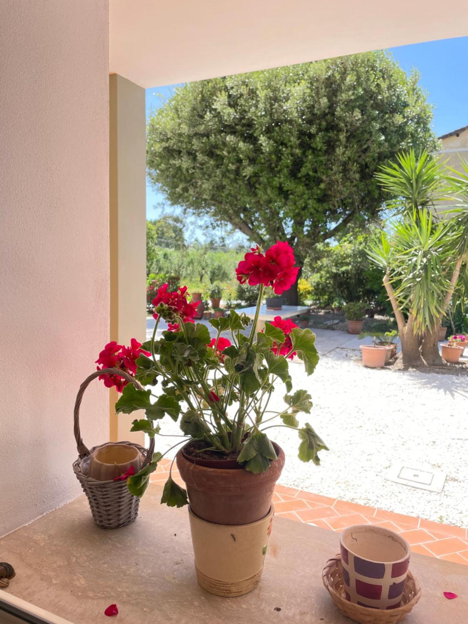 Il Leccio Agriturismo Fiorino 外观 照片