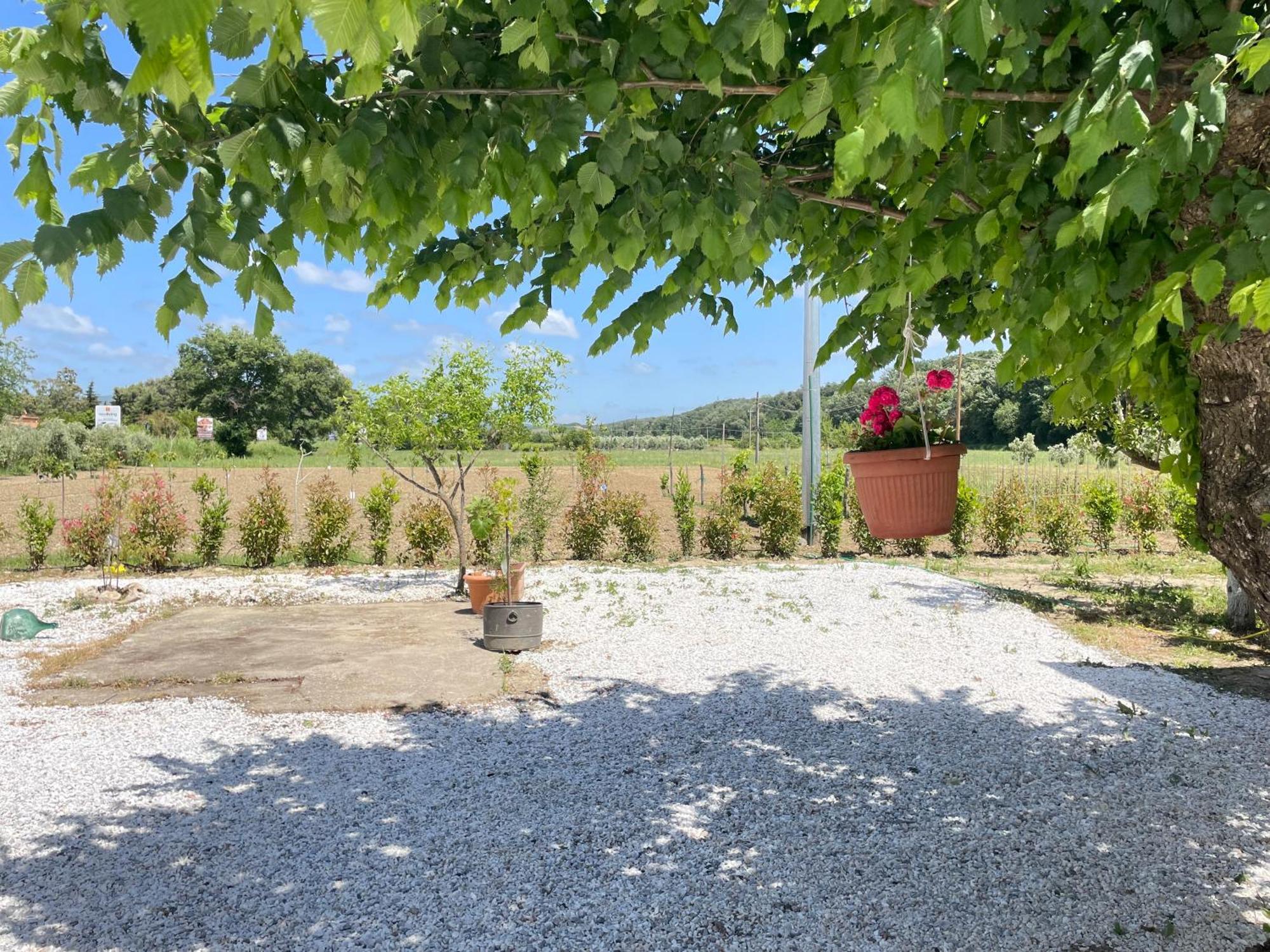Il Leccio Agriturismo Fiorino 外观 照片