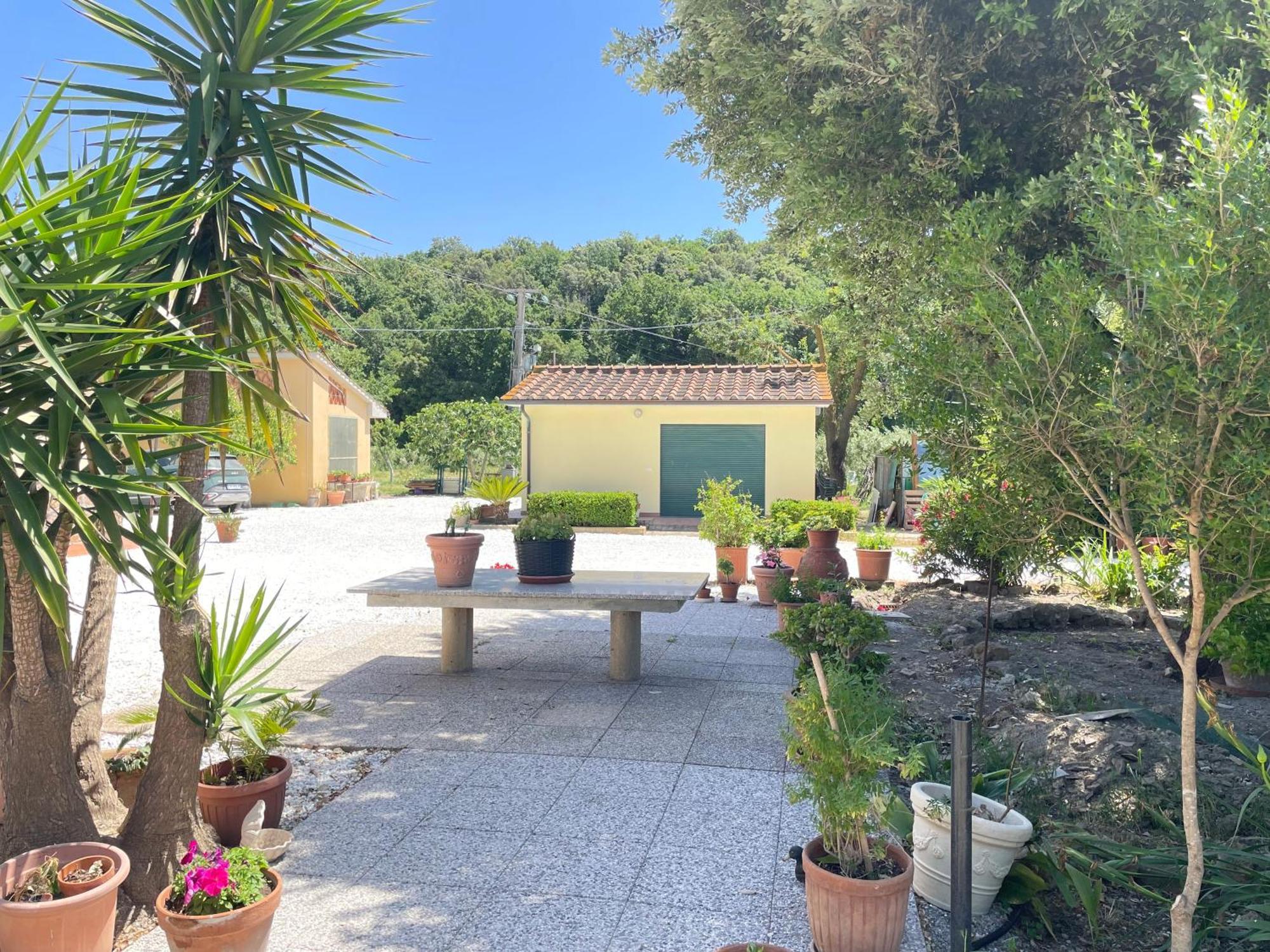 Il Leccio Agriturismo Fiorino 外观 照片