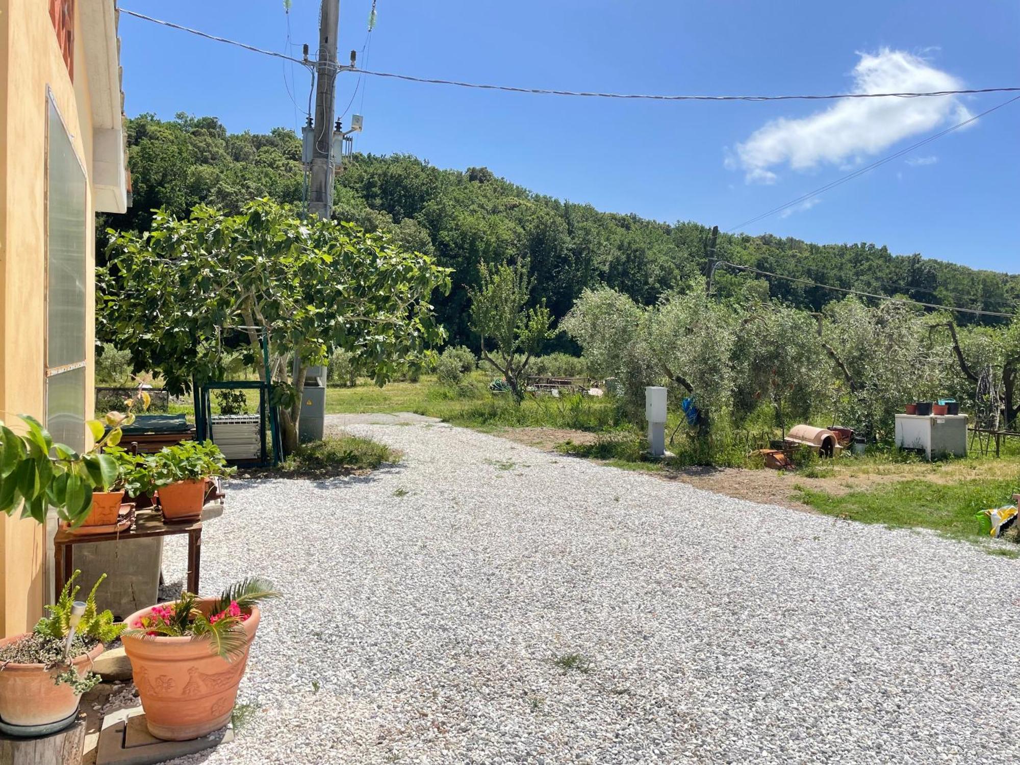 Il Leccio Agriturismo Fiorino 外观 照片