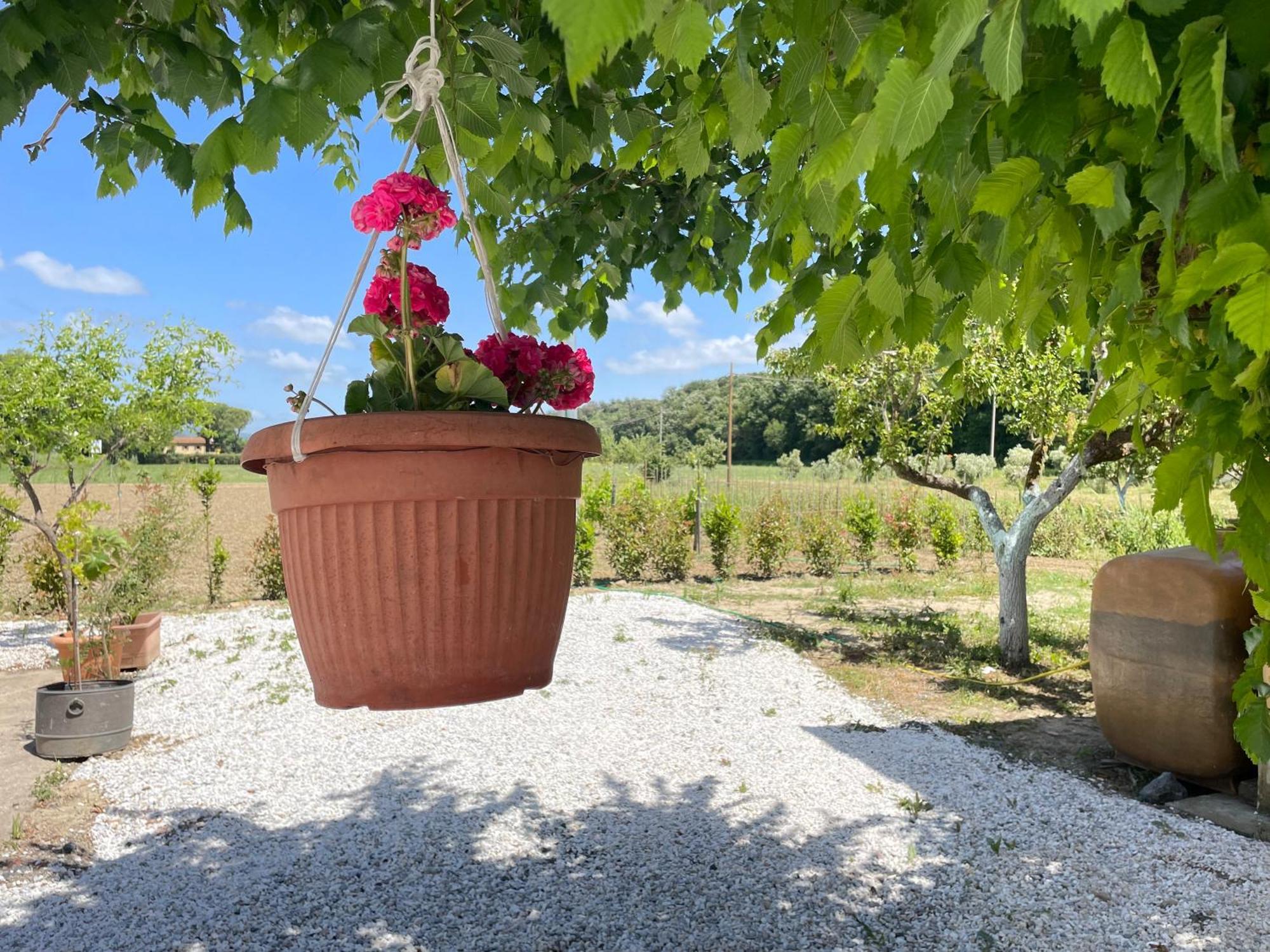 Il Leccio Agriturismo Fiorino 外观 照片