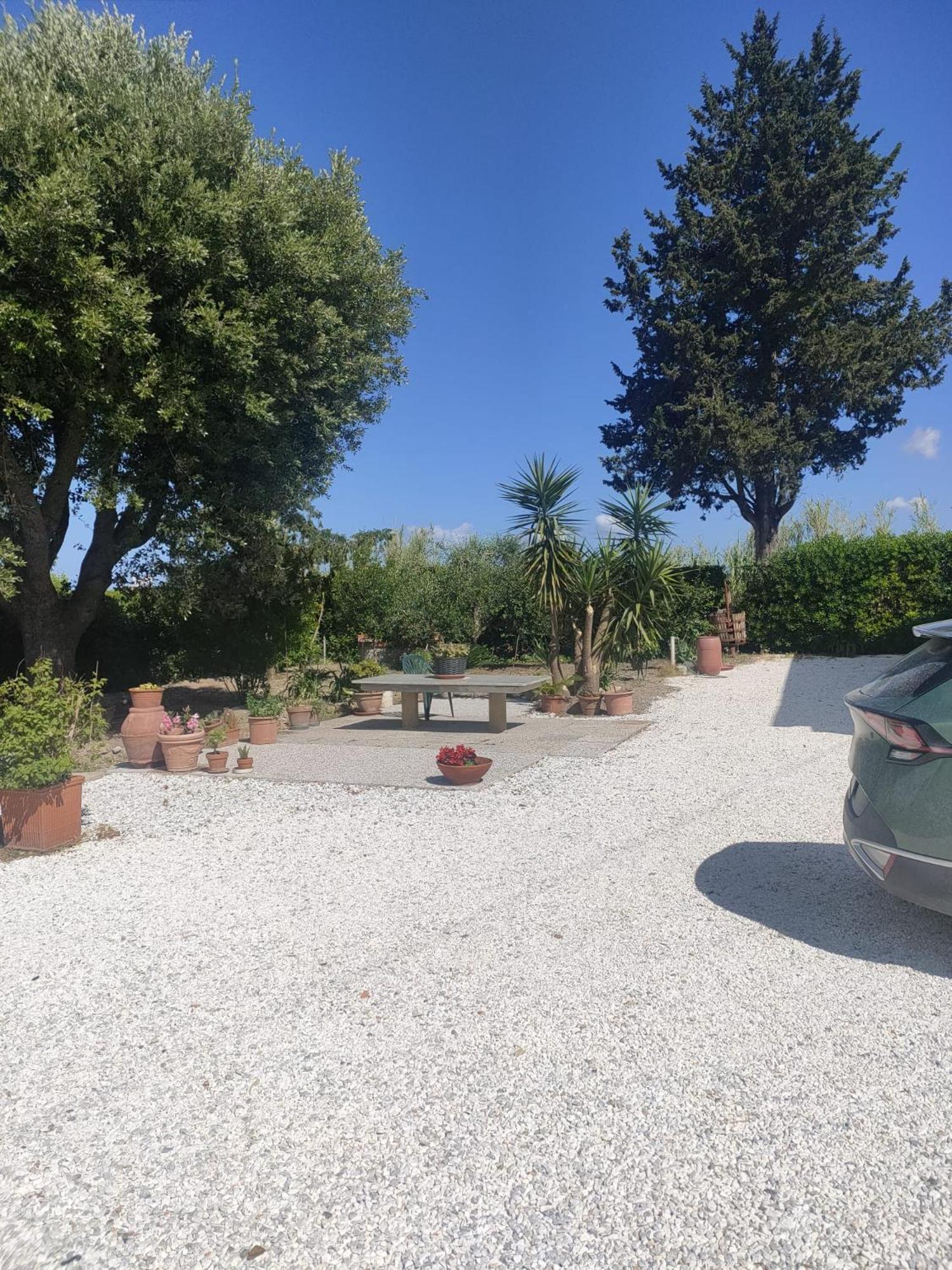 Il Leccio Agriturismo Fiorino 外观 照片