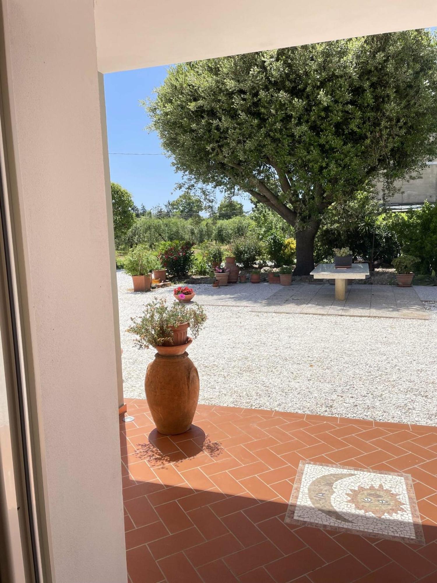 Il Leccio Agriturismo Fiorino 外观 照片